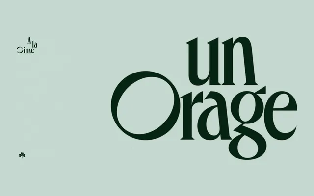 Canopée specimen from VJ Type