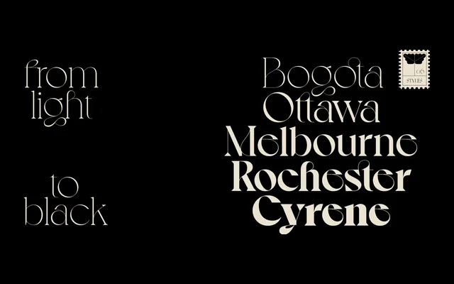Voyage specimen from VJ Type
