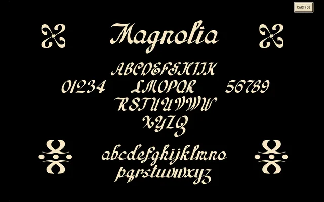 Magnolia specimen from Wabi Sabi Type