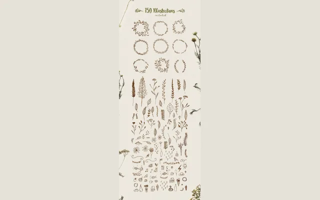 Peomy Extended Brush Font + Logos + Illustrations specimen from Wild Type