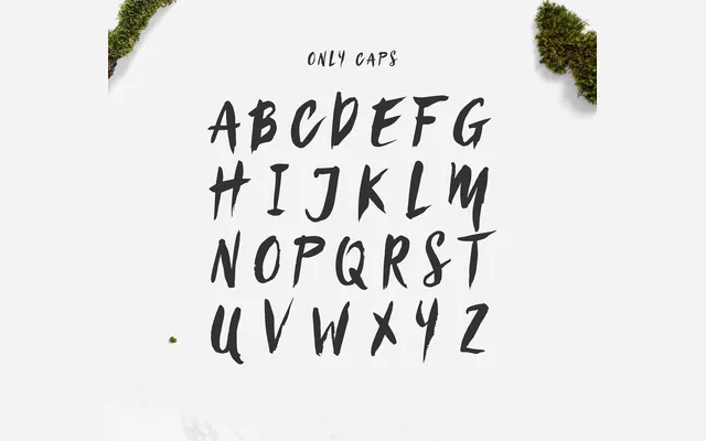 Sanös Brush Script Font specimen from Wild Type