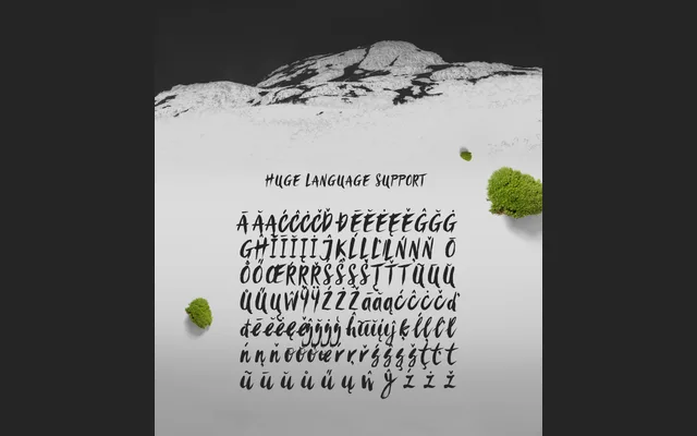 Sanös Extended Script Font specimen from Wild Type