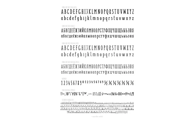 SUNN Serif Extended Font specimen from Wild Type