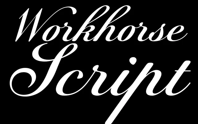 Workhorse Script specimen from Workhorse Type Foundry