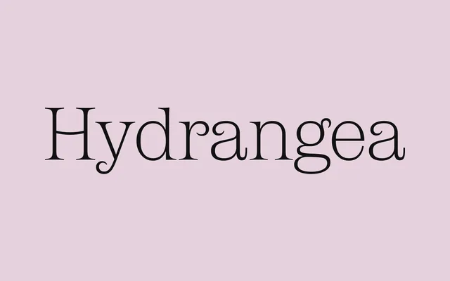 Lyric specimen from XYZ Type