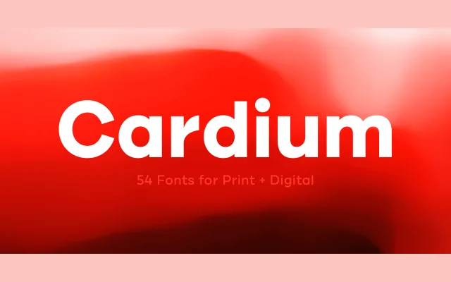 Cardium specimen from Yellow Design Studio