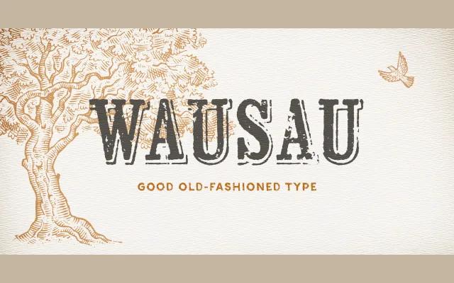 Wausau specimen from Yellow Design Studio