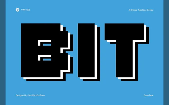 YWFT Bit specimen from YouWorkForThem