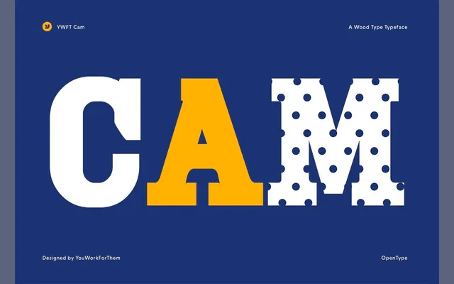 YWFT Cam specimen from YouWorkForThem