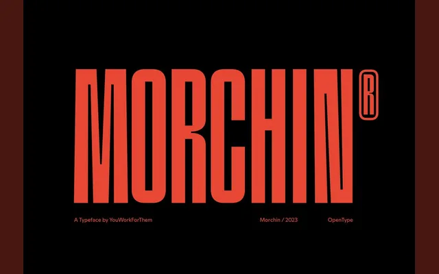 YWFT Morchin specimen from YouWorkForThem