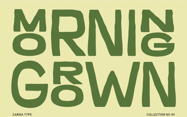 Morning Grown specimen from Zarma Type
