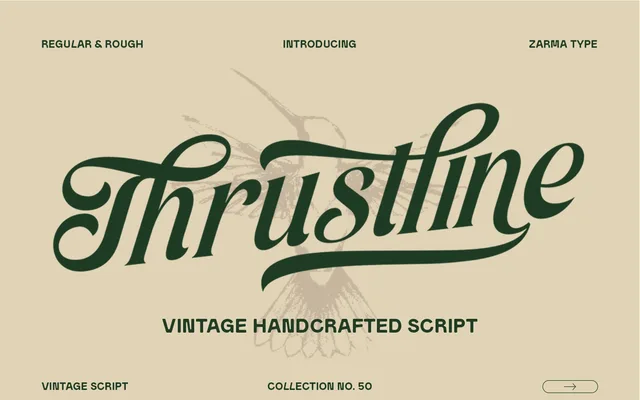 Thrustline specimen from Zarma Type